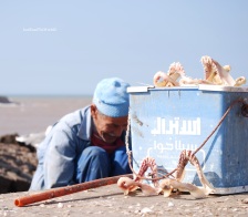 Pescatore ad Essaouira, Marocco.