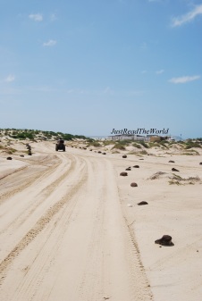 Tra le dune di Boa Vista.