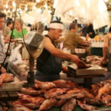 Tokyo Fish Market (Pinterest)