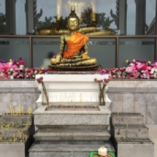 Offerte a Buddha | Bangkok